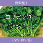野菜種子 EAB コリアンダー（パクチー） 2.5ml