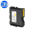 本日ポイント10倍 (取り寄せ品)RICOH 