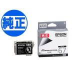 (取り寄せ品)EPSON 純正インク IC67イ