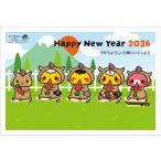 令和8年(2026年)用 午年 パック年