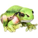 ワイルドグラフィ ぬいぐるみ アマガエル SA030