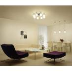 大光電機 シャンデリア DCH38222Y