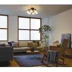 大光電機 シャンデリア DCH41881Y 電球色