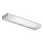 大光電機 流し元灯 DCL40600W 工事必要