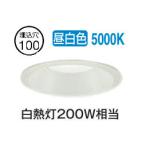 大光電機 屋内・屋外兼用ダウンライト DDL-6301WWG φ100 白熱灯200W相当 昼白色 調光