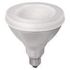 大光電機 LEDランプ DP38669WE（東芝OEM商品）