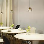 大光電機 ダクトレール用ペンダント DPN41771Y