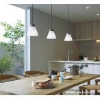 大光電機 ダクトレール用ペンダント DPN41975Y 電球色