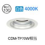 大光電機 ベースダウンライト LZD93344NWWE 工事必要