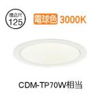 大光電機 ベースダウンライト LZD93366YWWE 工事必要