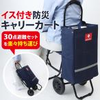 イス付き防災キャリーカート 着脱式トートバッグ レインカバー付き 大型タイヤで悪路も安心