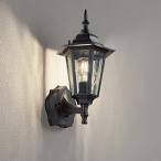 (代引不可)オーデリック OG254633LC2 ポーチライト (A)