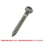 特価品 六角コーチボルト ユニクロ 6X65 (A)