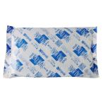 (60点) 保冷剤 スノーパック R-30 三重化学工業 00252850