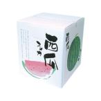 (20点) ギフト箱 スイカ箱 特大 00572781