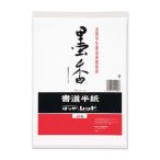 (300点) 墨香半紙 レッド 20枚ポリ入 P20タ-21 マルアイ 00703067