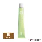 ホーユー プロステップ ファッションカラー ブラウン BR9 1剤 80g｜医薬部外品