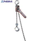 象印 Y2チェーンレバーホイスト100KG  ▼106-5327 Y2-K1010  1台 ●YA509