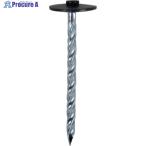 DAIDOHANT カラー傘釘 20本入 ♯13×41 ブラック  ▼114-2645 10176076  1袋