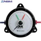 マノスター 微差圧計 マノスターゲージ (表面形・置針2本付) 計測範囲0〜300Pa  ■▼114-8469 WO81FT300D  1台