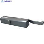 RYOBI дверь механизм закрывания #20 серии 22P серебряный V137-5152 22P 1 шт. 