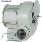 昭和 電動送風機 汎用シリーズ(0.25kW)  ▼138-4201 SB-75  1台 ●KO521