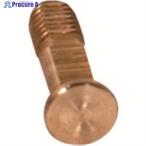 シンワ 部品 アルミ自由金用芯ネジ  ▼159-1427 62548  1個