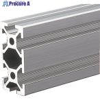 ショッピングTRUSCO TRUSCO TSF20フレーム20X40-1000  ■▼161-3436 TSF2040-1000  1本