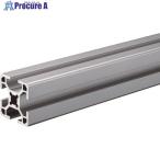 TRUSCO TSF30 рама 30X30-100 #V161-3501 TSF3030-100 1 шт. 