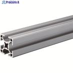 TRUSCO TSF30フレーム 30X30-300  ▼161-3514 TSF3030-300  1本