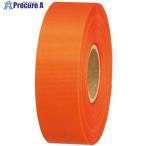 JTX 830088)カラーリボンオレンジ24mmX25m B824J-OR  ▼196-6266 B824J-OR  1巻