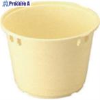  солнечный ko- солнечный ko-taru#5 400505 крем #V200-0070 400505CL00 C 1 шт 