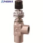 KOFLOC 精密ニードルバルブ MODEL 2412 SERIES  ■▼201-0057 2412-L-B-1/4-CO2-0.1MPA-5L/MIN  1式