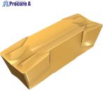 イスカル カットグリップ チップ GIF