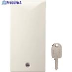 SANWA 鍵付きセキュリティスリムコンセントカバー  ■▼203-3250 TAP-KJCV1  1個