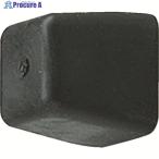 TRUSCO квадратное дверь на 20X25 чёрный V206-5543 DS2025-BK 1 шт 