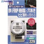 SOFT99 カーボン繊維配合パテ 80g  ▼207-0274 09229  1S