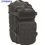 ELITEBAGS рюкзак C2 BAG черный V207-4635 MB11-010 1 шт 