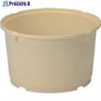  солнечный ko- солености tsukemono taru401402 15K flat -5( корпус ) крем #V217-5769 401402CL00 C 1 шт 