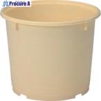  солнечный ko- солености tsukemono taru401002 10K-4( корпус ) крем #V217-5785 401002CL00 C 1 шт 