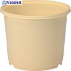  солнечный ko- солености tsukemono taru401001 10K-2( корпус ) крем #V217-5942 401001CL00 C 1 шт 