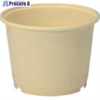  солнечный ko- солености tsukemono taru400501 5K-2( корпус ) крем #V217-5943 400501CL00 C 1 шт 