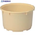 солнечный ko- солености tsukemono taru400503 5K flat ( корпус ) крем #V217-5995 400503CL00 C 1 шт 