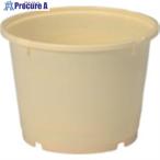  солнечный ko- солености tsukemono taru400502 5K-4( корпус ) крем #V217-6038 400502CL00 C 1 шт 