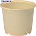  солнечный ko- солености tsukemono taru400402 4K-4( корпус ) крем #V217-6163 400402CL00 C 1 шт 