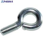 IWATA アイボルト(10個入)  ▼221-1845 MS04-P  1パック