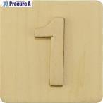 光 シナベニア抜文字 数1  ■▼225-8541 SB45-1  10枚