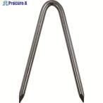 DAIDOHANT 打込棒 U型 6×100 (ユニクロ)  ▼226-0029 10102246  1本