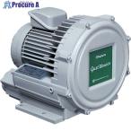 昭和 電動送風機 渦流式高圧シリーズ ガストブロアシリーズ(0.1kW)  ■▼238-7352 U2V-10T  1台