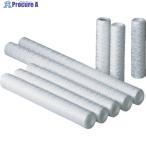  Advan Tec картридж фильтр TCW-10N-PPS V255-7561 25311110 1 шт. 